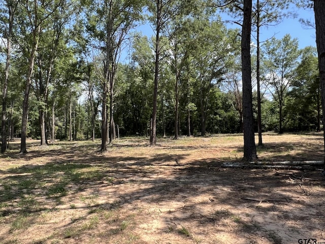 Listing photo 2 for TBD 3311, Tyler TX 75708