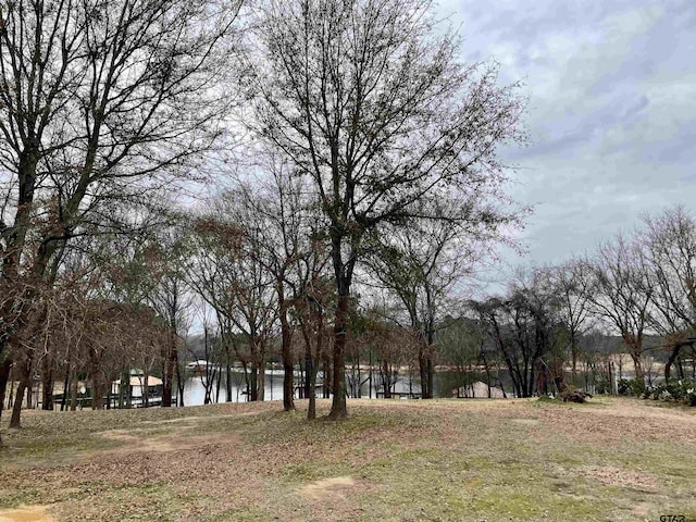 21431 Stevenson Rd, Frankston TX, 75763 land for sale