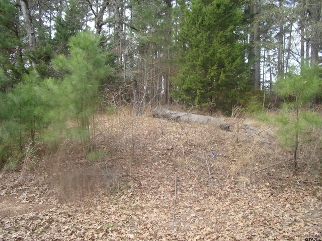 tbd Briar Grove, Murchison TX, 75778 land for sale