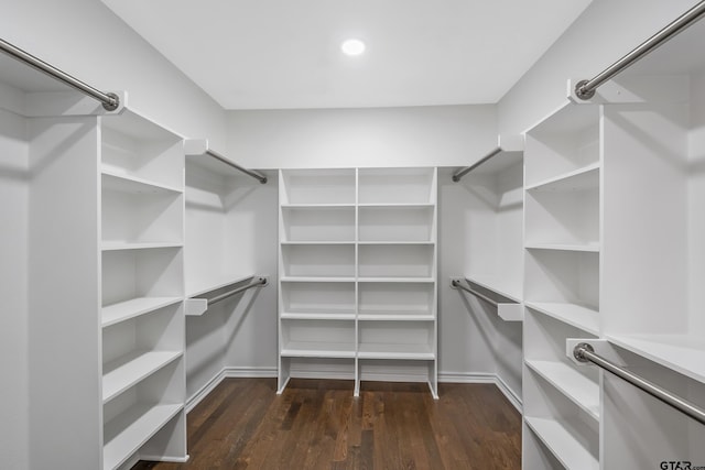 spacious closet featuring dark wood-style floors