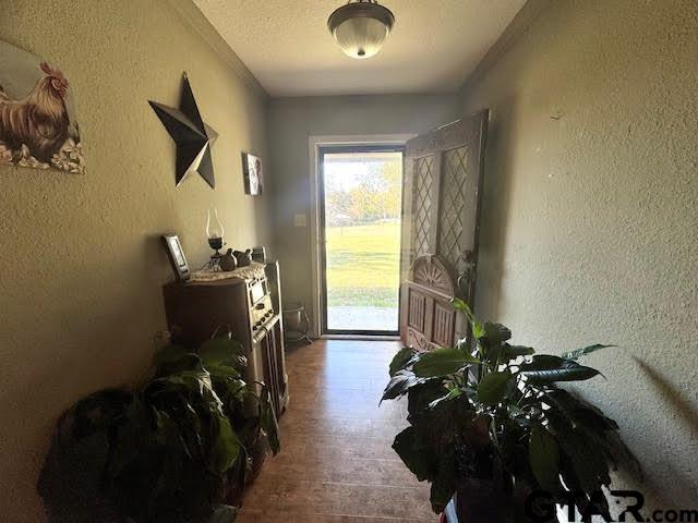 12239 Lovers Ln, Larue, TX 75770 - entryway with a textured wall and wood finished floors