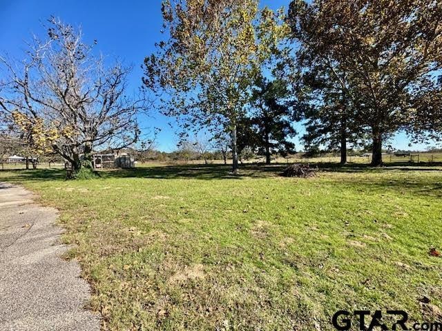 12239 Lovers Ln, Larue, TX 75770 - view of green lawn
