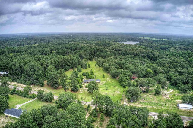 19870 Fm 1253, Lindale, TX 75771 - bird's eye view of a forest