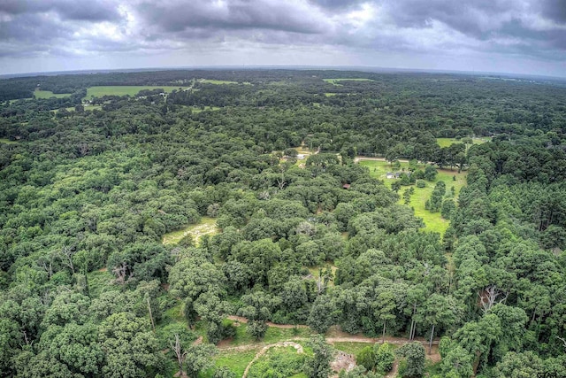 19870 Fm 1253, Lindale, TX 75771 - aerial view of a heavily wooded area