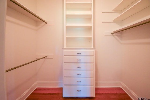 spacious closet with hardwood / wood-style flooring