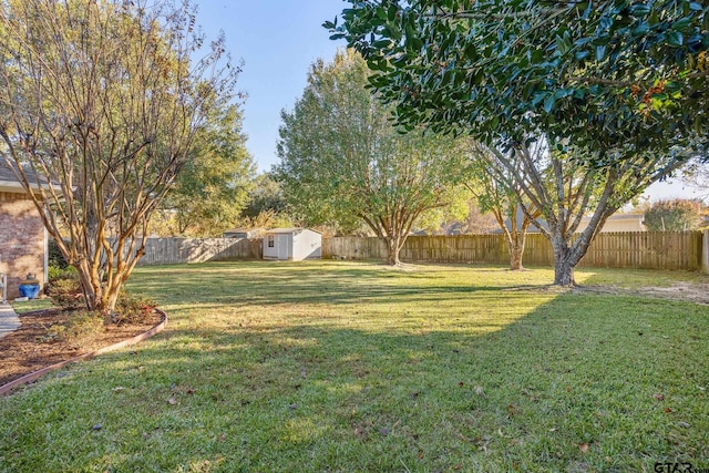 view of yard featuring a shed