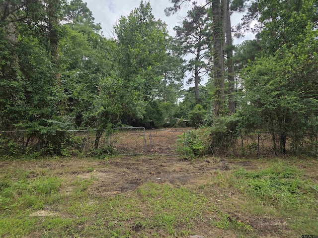 20812 Forest Grove Dr, Chandler, TX 75758