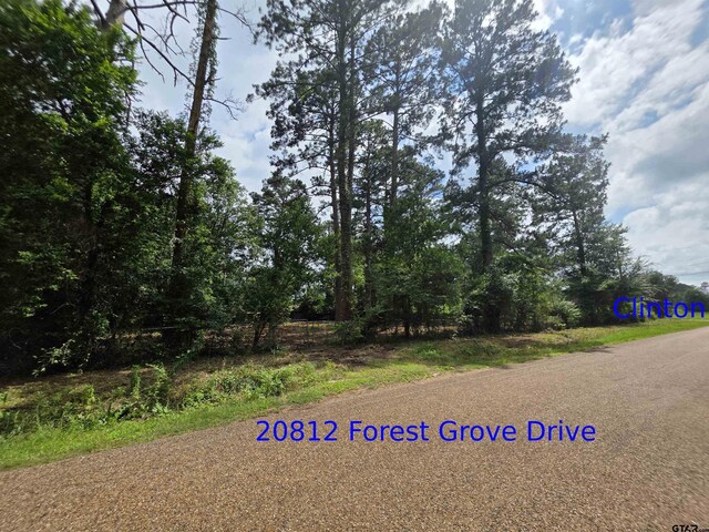 20812 Forest Grove Dr, Chandler, TX 75758