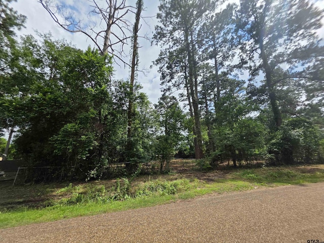 20812 Forest Grove Dr, Chandler, TX 75758