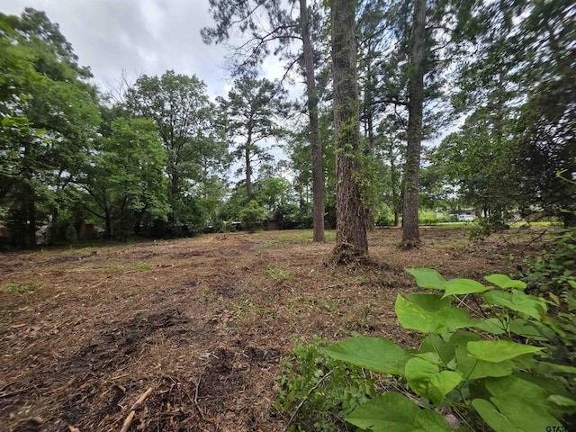 20812 Forest Grove Dr, Chandler, TX 75758