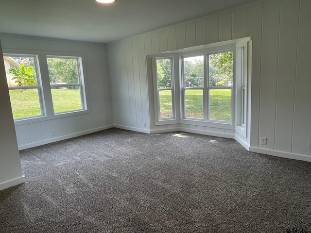 carpeted empty room with a healthy amount of sunlight