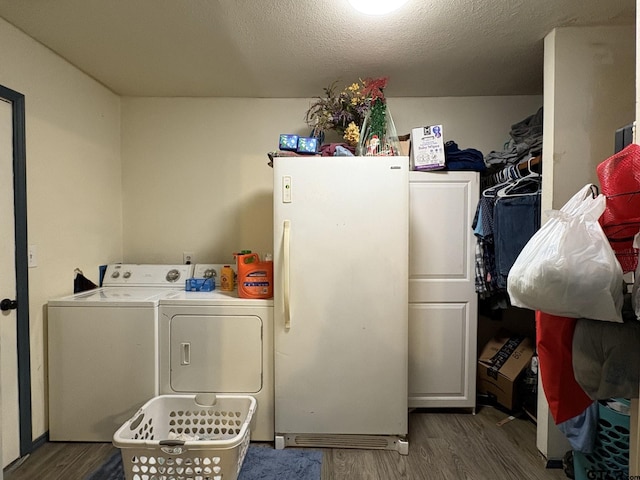 923 W Dallas Ave, Cooper, TX 75432 - photo 23