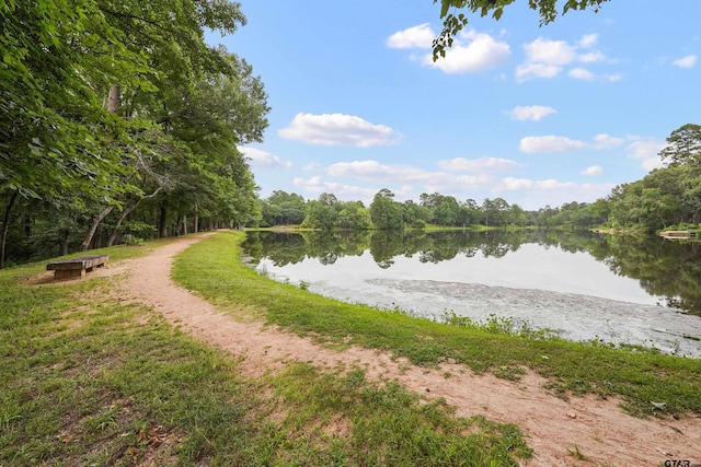 1940 Stonehill Dr, Tyler, TX 75703 - water view featuring a heavily wooded area
