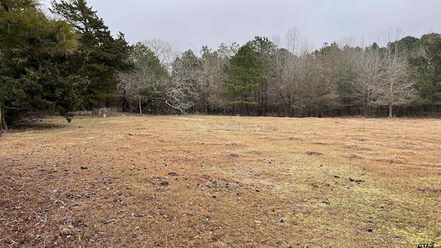 Listing photo 3 for TBD County Road 3234, Quitman TX 75783