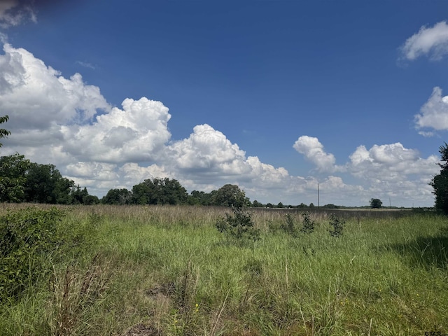 TBD Cr 3925, Mount Pleasant, TX 75455 - photo 2
