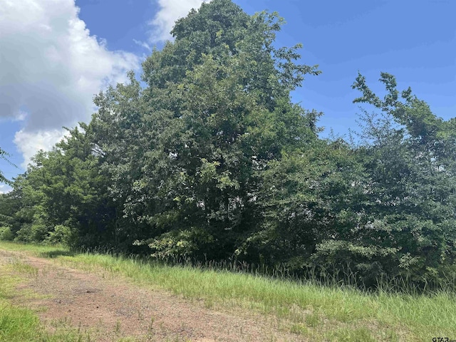 TBD Cr 3925, Mount Pleasant, TX 75455 - photo 3
