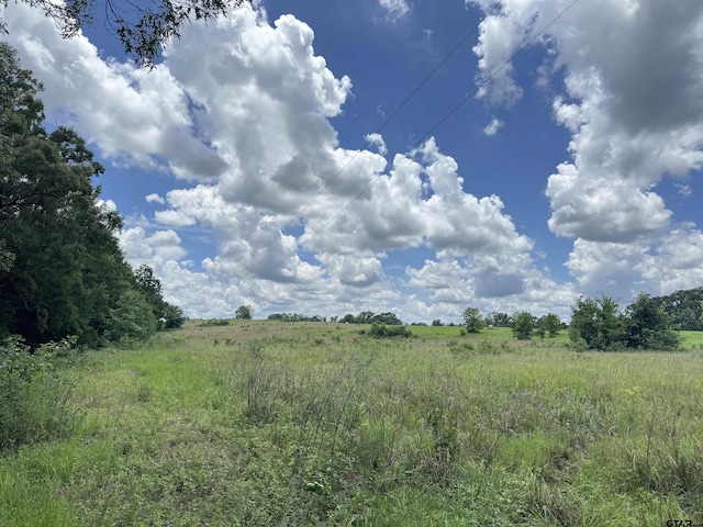 TBD Cr 3925, Mount Pleasant, TX 75455 - photo 7