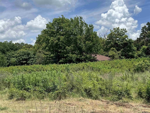 TBD Cr 3925, Mount Pleasant, TX 75455 - photo 11