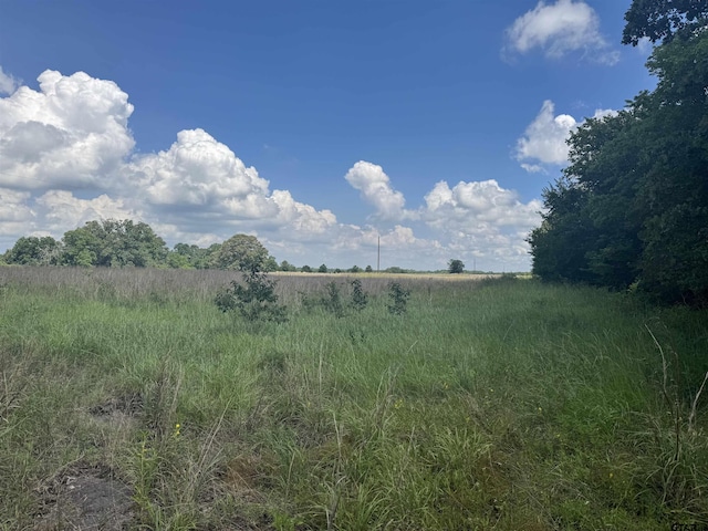 TBD Cr 3925, Mount Pleasant, TX 75455 - photo 1