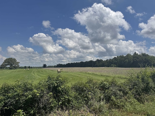 TBD Cr 3925, Mount Pleasant, TX 75455 - photo 4