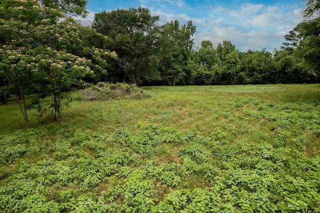 LOT4 Castleberry St, Brownsboro, TX 75756 - photo 3