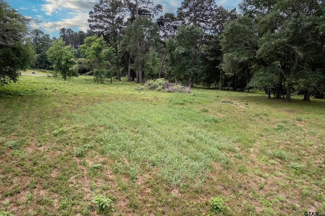 LOT4 Castleberry St, Brownsboro, TX 75756 - photo 5