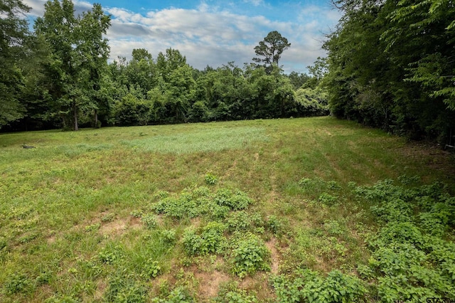 LOT4 Castleberry St, Brownsboro, TX 75756 - photo 4