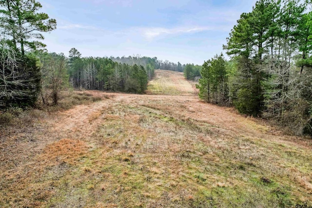 view of local wilderness