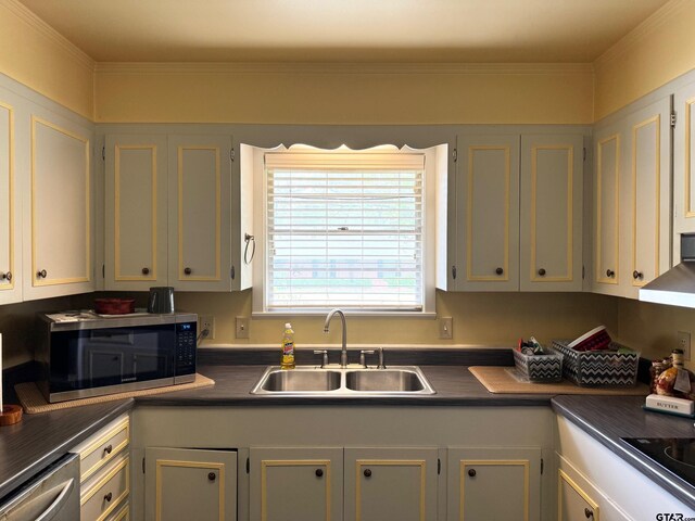 1207 E Redbud Ave, Crockett, TX 75835 - kitchen featuring ornamental molding, stainless steel appliances, a sink, dark countertops, and extractor fan