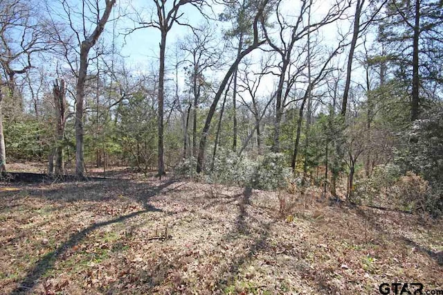 2522 Barrett Ct, Tyler TX, 75703 land for sale