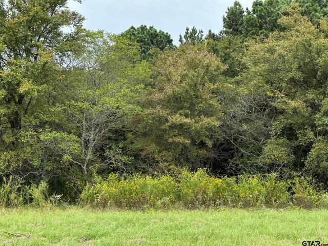 16724 Caeli Heights Ct, Winona, TX 75792 - photo 8