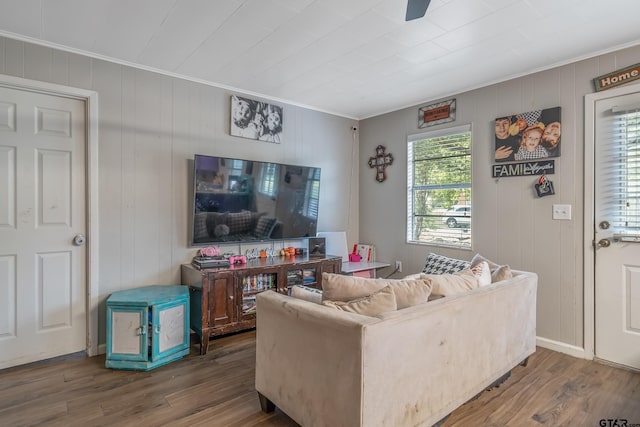 living room with wooden walls, hardwood / wood-style flooring, and crown molding