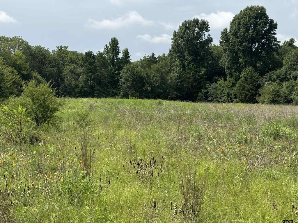 9870 Fm 855, Bullard, TX 75757 - photo 1