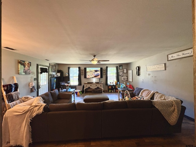 9394 Grape Ave, Frankston, TX 75763 - living area with ceiling fan