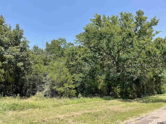 TBD Highway 49, Daingerfield, TX 75638 - photo 4