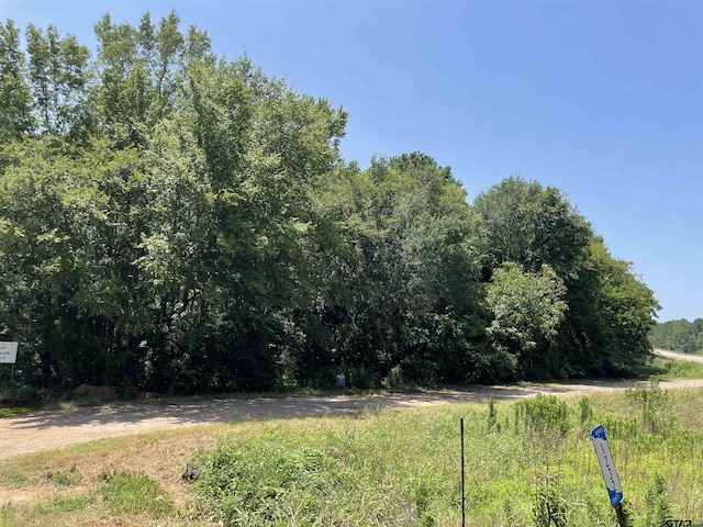 TBD Highway 49, Daingerfield, TX 75638 - photo 6