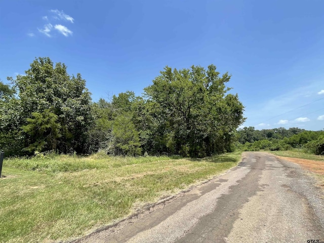 TBD Highway 49, Daingerfield, TX 75638 - photo 3