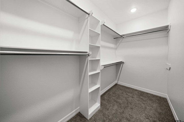 spacious closet featuring dark colored carpet