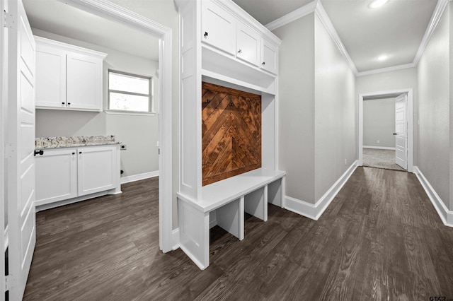 mudroom featuring dark hardwood / wood-style flooring and ornamental molding