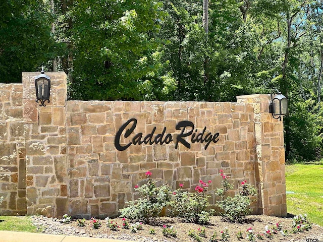 9283 Caddo Ridge Cv, Tyler TX, 75703 land for sale