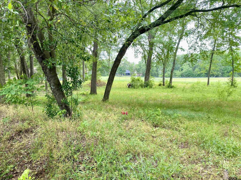 LOT3 Browning St, Brownsboro, TX 75756 - photo 2