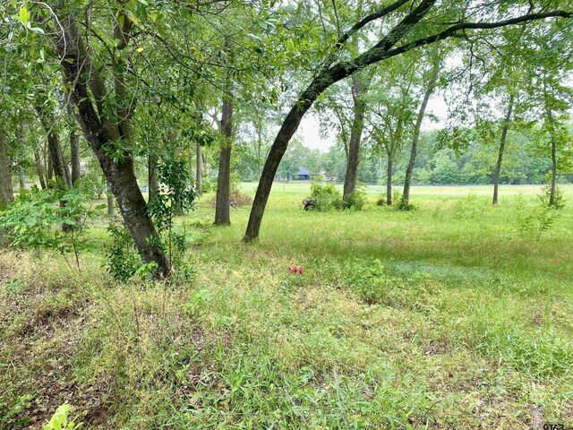 LOT3 Browning St, Brownsboro, TX 75756 - photo 2