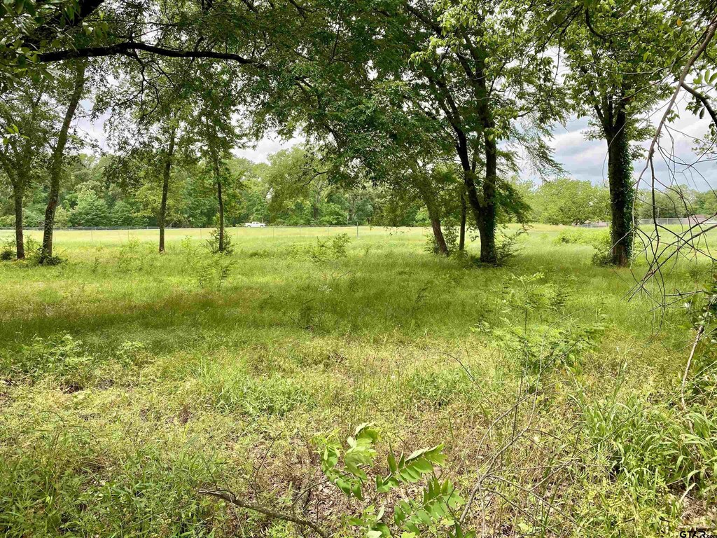 LOT3 Browning St, Brownsboro, TX 75756 - photo 1
