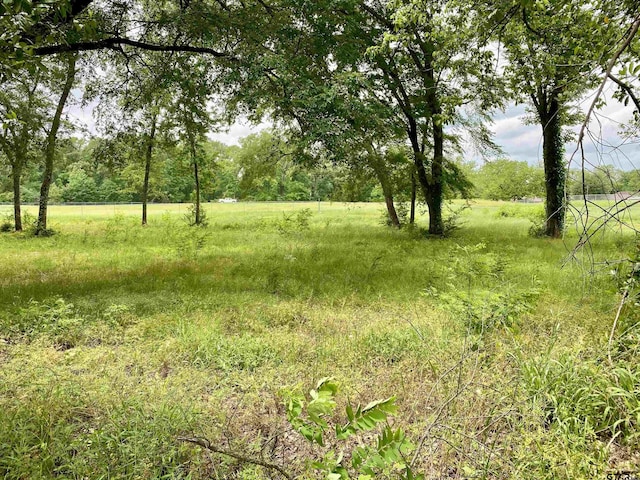 LOT3 Browning St, Brownsboro, TX 75756 - photo 1