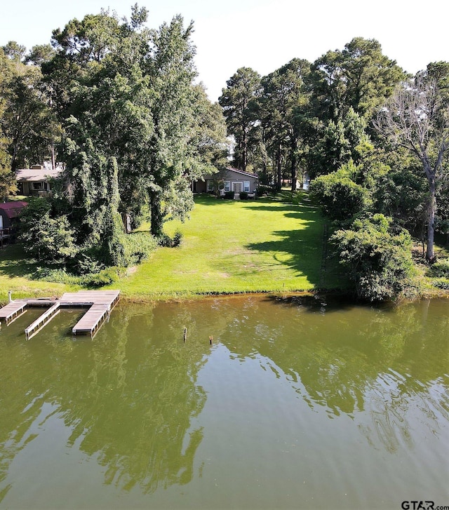 exterior space with a dock