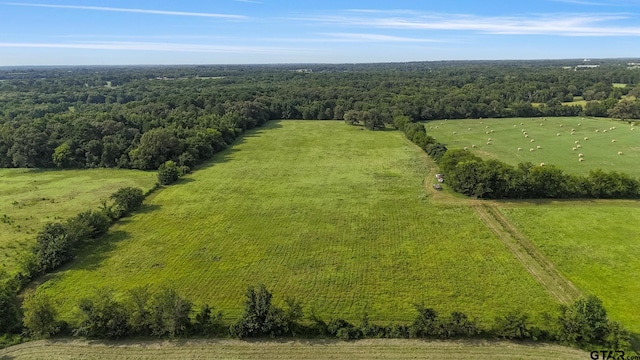 4837 N Fm 312, Winnsboro, TX 75494 - photo 42