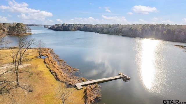 view of water feature with a dock