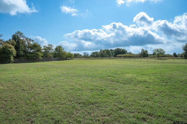 view of yard with a rural view