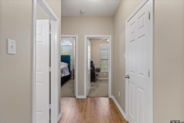 corridor featuring light hardwood / wood-style floors