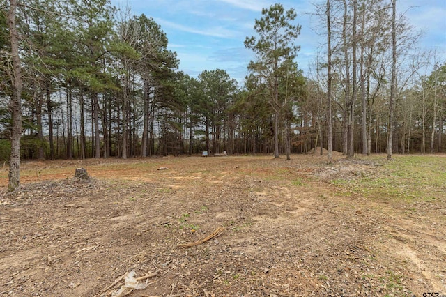 1490 Fm 13 E, Troup, TX 75789 - view of wooded area